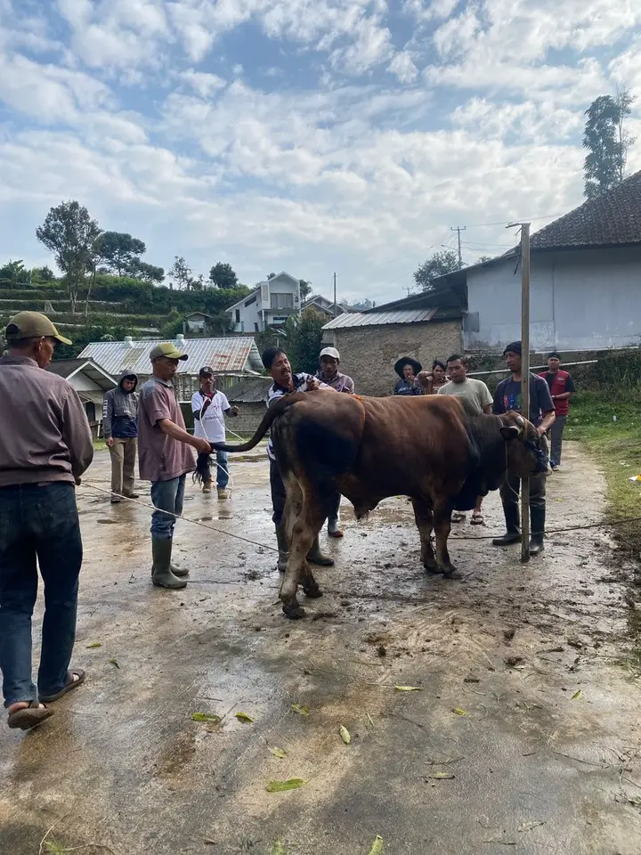 Artikel KKN Universitas Al Ghifari: Hari kemenangan di Hari Raya Qurban